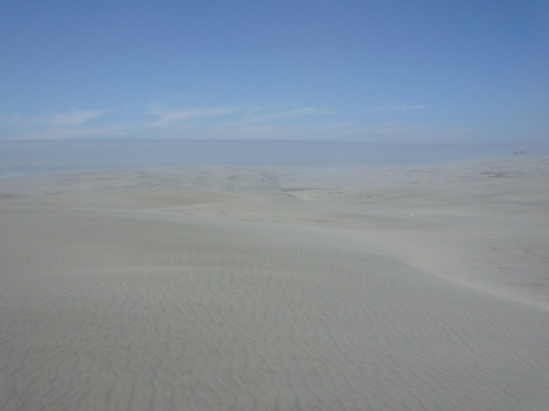 Travel - New Zealand - North West and Farewell Spit